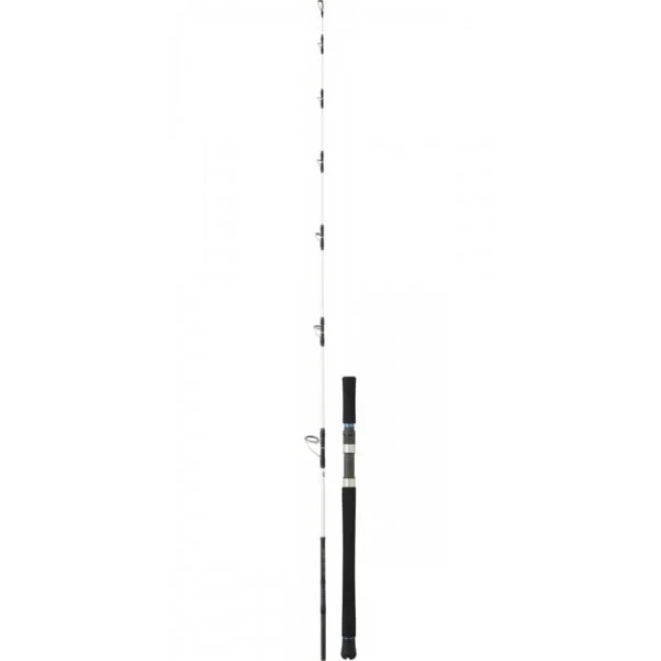 DAIWA SALTIST OFF SHORE