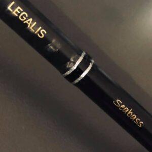 Daiwa Legalis Seabass NEW