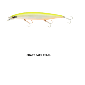 Daiwa Shoreline Vertice Shiner Z