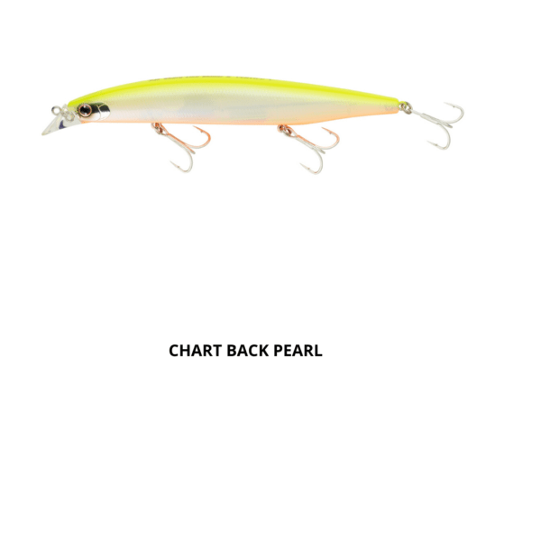 Daiwa Shoreline Vertice Shiner Z