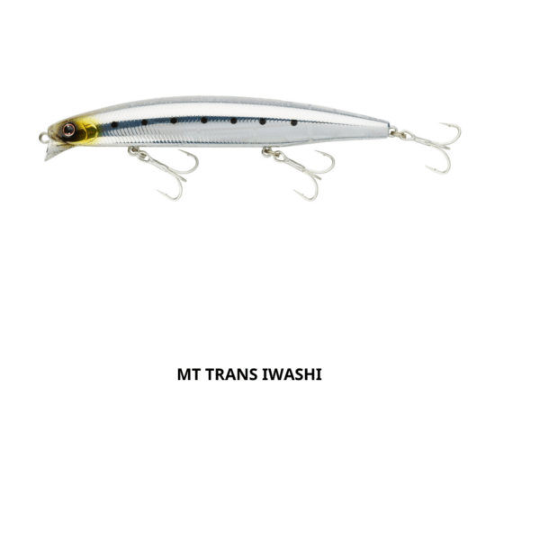 Daiwa Shoreline Vertice Shiner Z