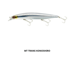 Daiwa Shoreline Vertice Shiner Z