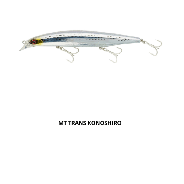 Daiwa Shoreline Vertice Shiner Z