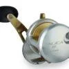 Shimano Talica 8