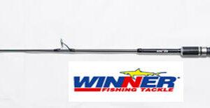 Winner Torzite