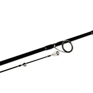 BASSTERRA_SEA-BASS