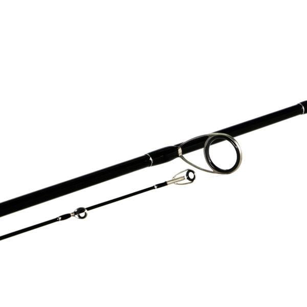 BASSTERRA_SEA-BASS