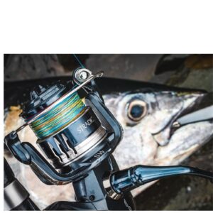 Shimano Stradic SW