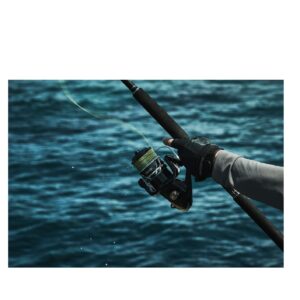 Shimano Stradic SW