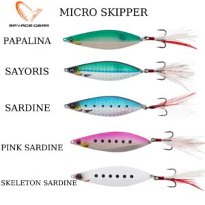 SKELETON SARDINE