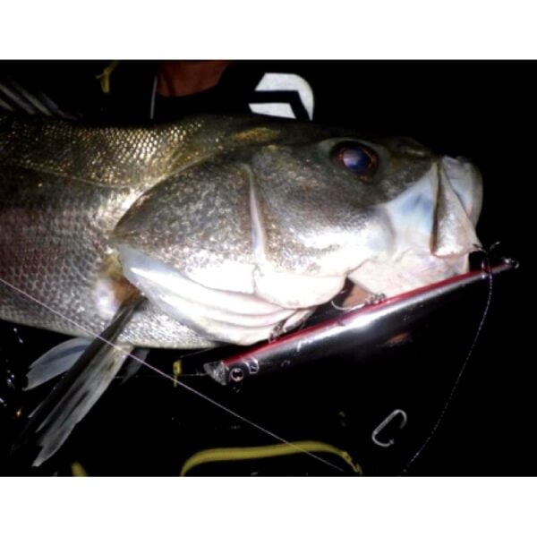 DAIWA MORETHAN SHALLOW UPPER SLIM