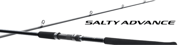 SEABASS2 1