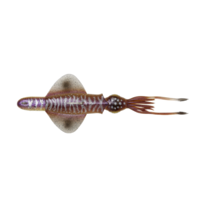 SAVAGE GEAR SWIM SQUID RTF