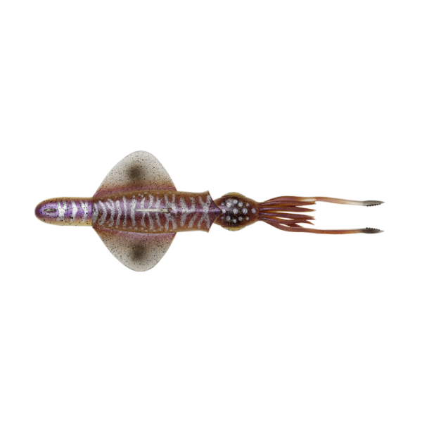 SAVAGE GEAR SWIM SQUID RTF