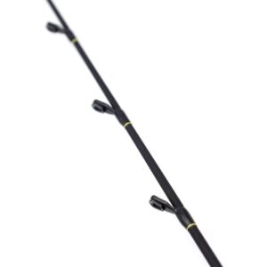 Shimano Beastmaster CX Slim