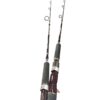 Shimano Speedmaster R Jigging
