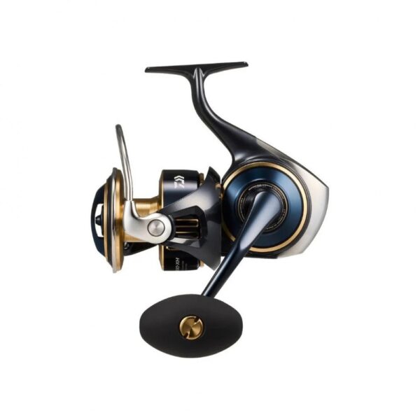 DAIWA SALTIGA 25