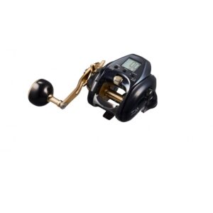 DAIWA SEABORG 2024