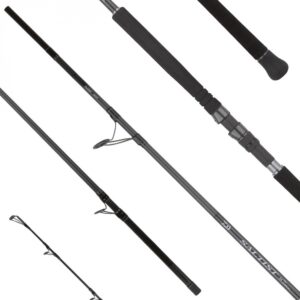 DAIWA SALTIST 25 SX SJ JIG SPECIAL